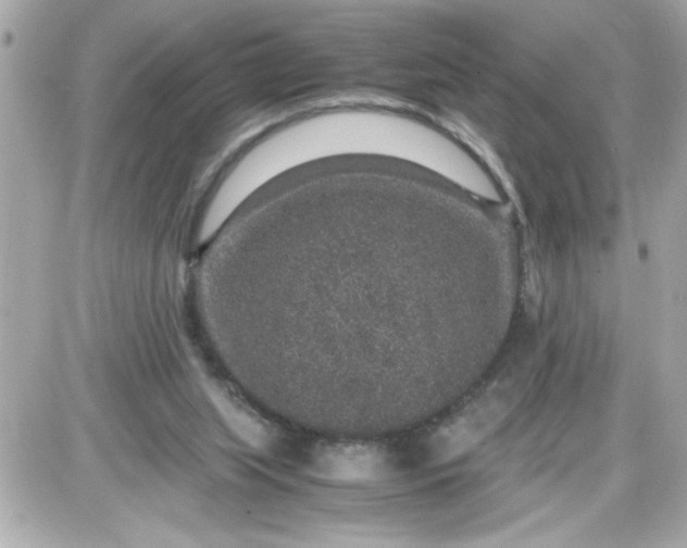 X0000087520063200705112016