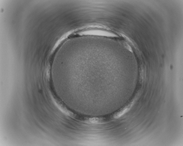 X0000087520064200705112016