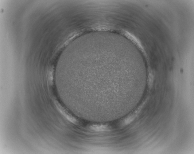 X0000087520065200705112016