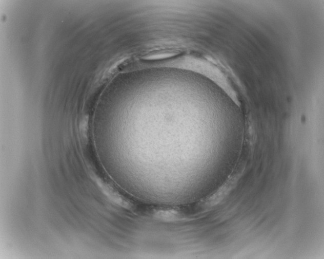 X0000087520066200705112017