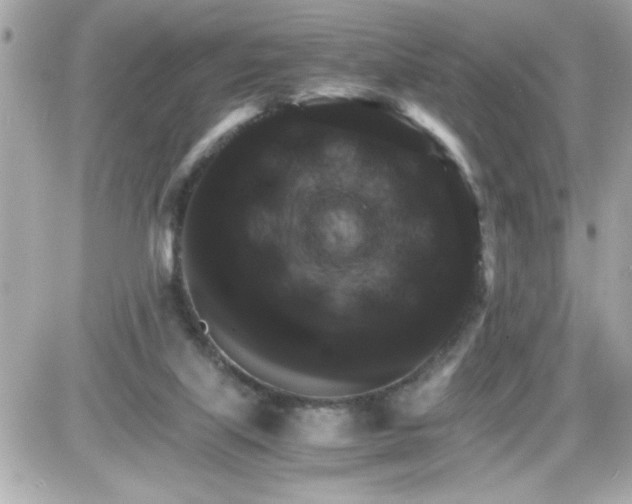 X0000087520067200705112017