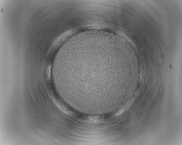 X0000087520070200705112017