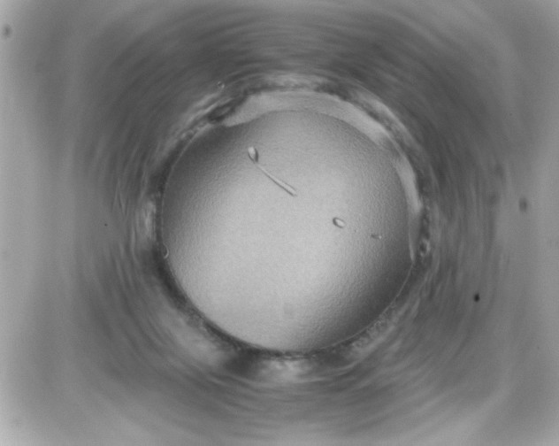 X0000087520071200705112017