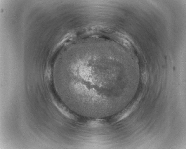 X0000087520072200705112017