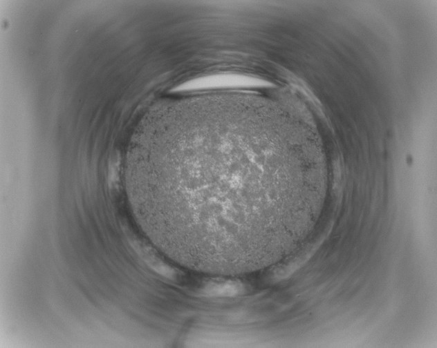 X0000087520073200705112017