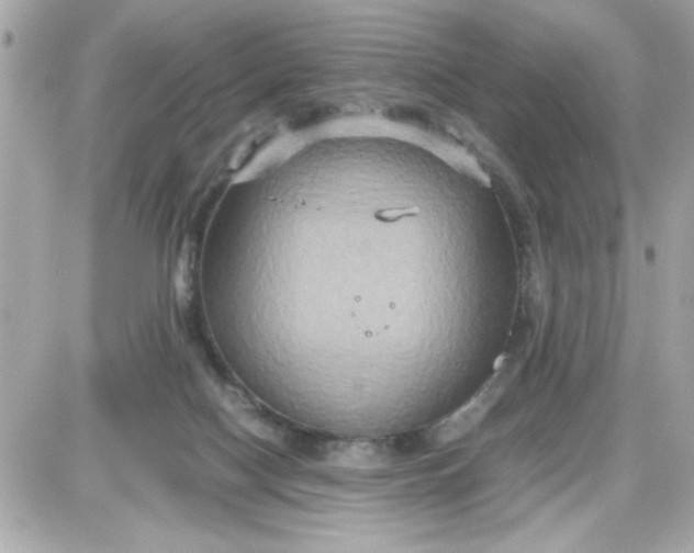 X0000087520074200705112017