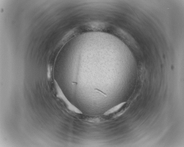 X0000087520075200705112017