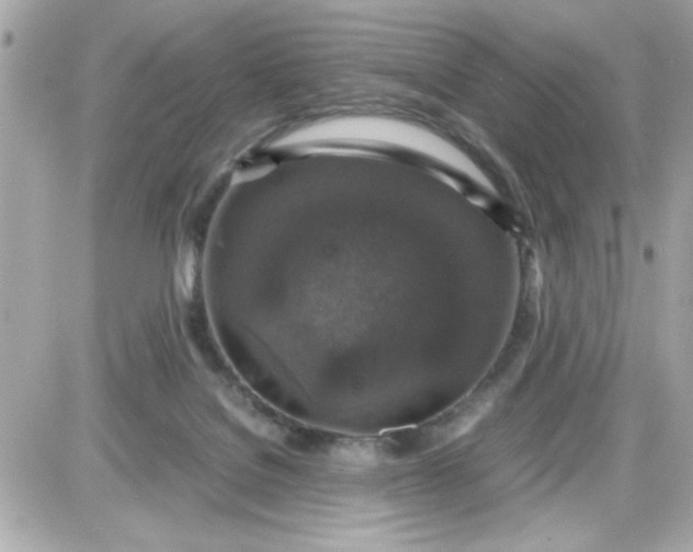 X0000087520076200705112017