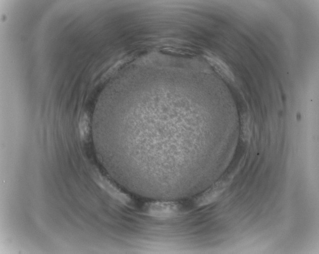 X0000087520077200705112017