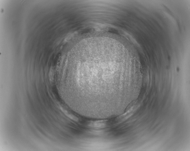 X0000087520078200705112017