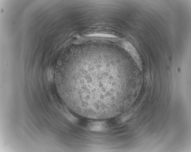 X0000087520081200705112017