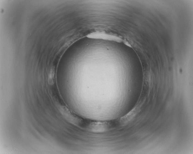 X0000087520082200705112017