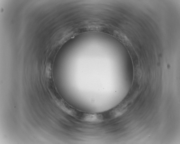 X0000087520083200705112017