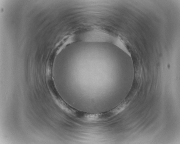 X0000087520084200705112017