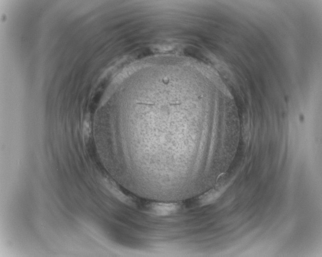 X0000087520085200705112017