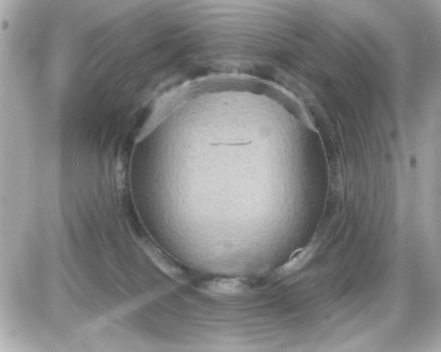 X0000087520086200705112017