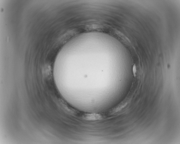 X0000087520087200705112017