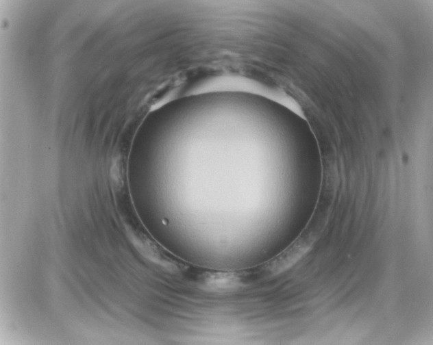 X0000087520088200705112017