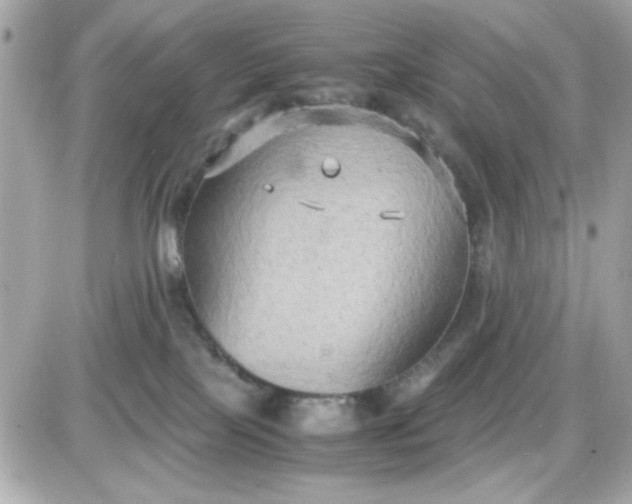 X0000087520089200705112017