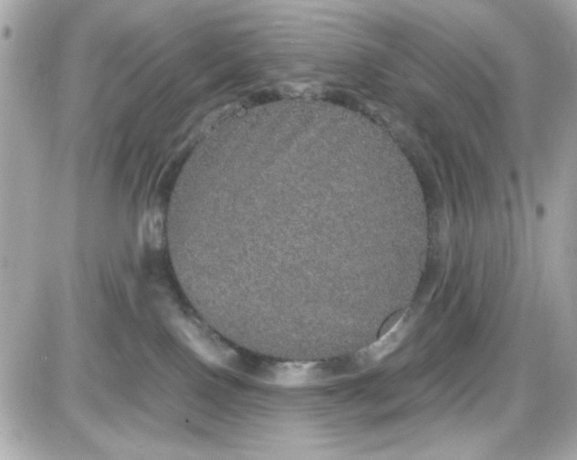 X0000087520090200705112017