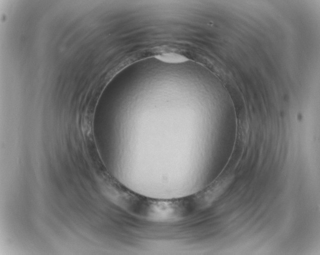 X0000087520091200705112017