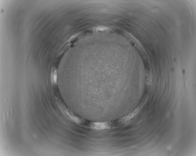 X0000087520095200705112017