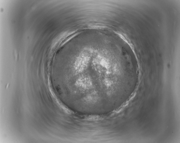 X0000087520097200705112016