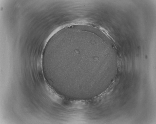 X0000087520100200705112016