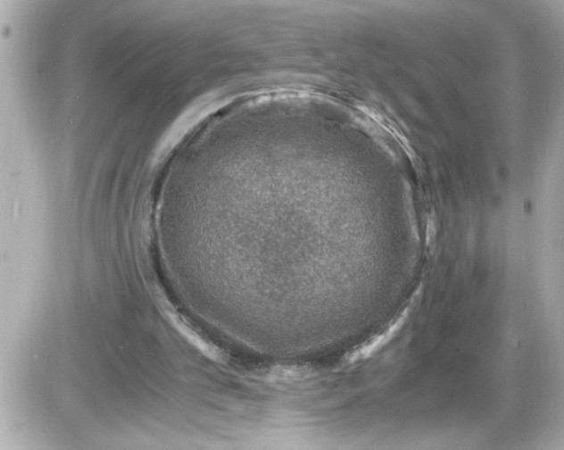 X0000087520101200705112016