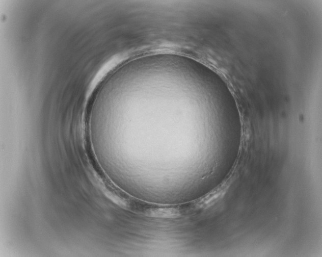 X0000087520102200705112016