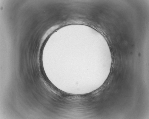 X0000087520104200705112016