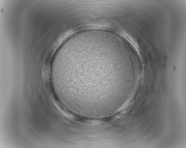 X0000087520107200705112016