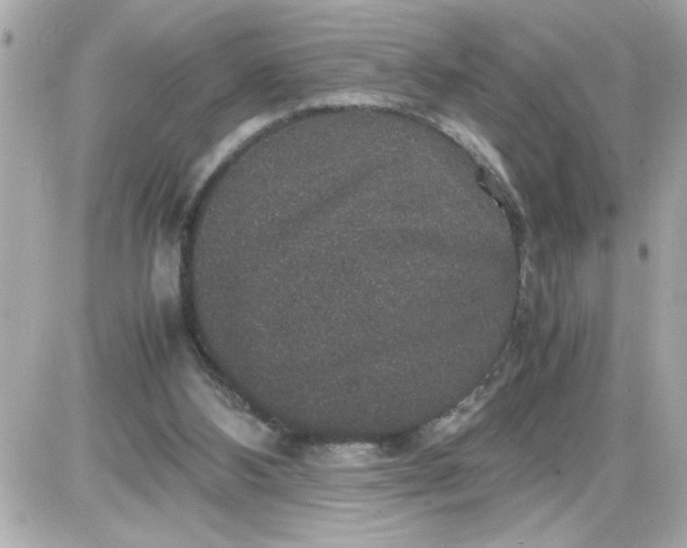 X0000087520108200705112016