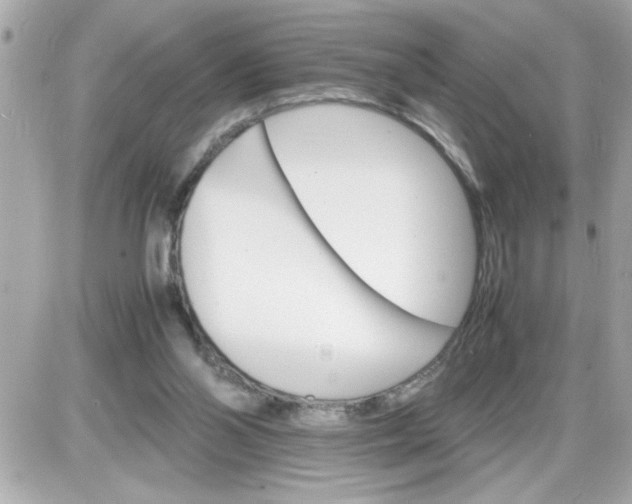 X0000087520110200705112016