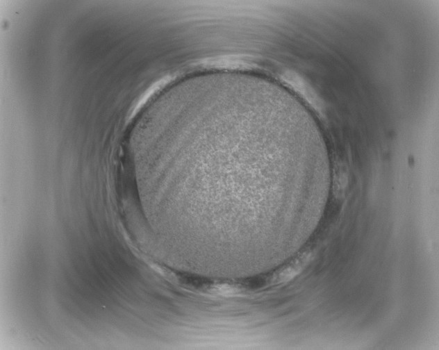 X0000087520111200705112016