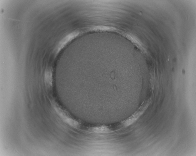 X0000087520112200705112016