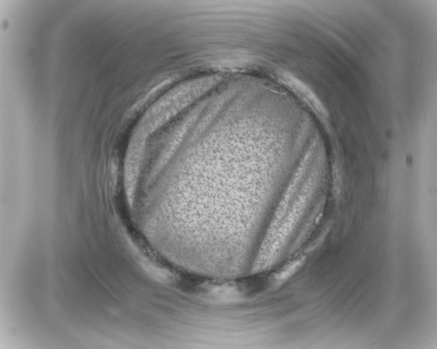 X0000087520113200705112016