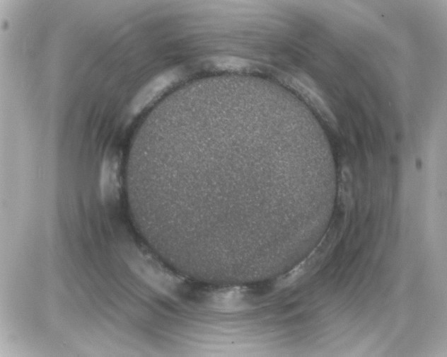 X0000087520116200705112016