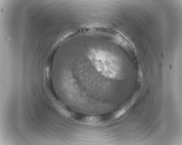 X0000087520117200705112016