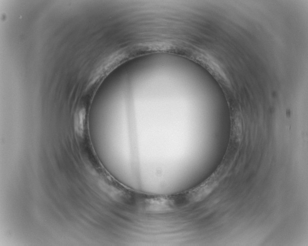 X0000087520118200705112016