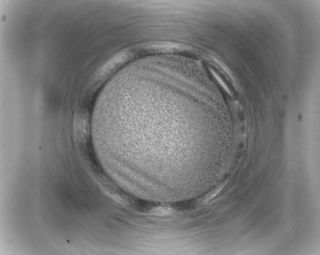 X0000087520119200705112016