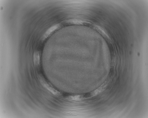 X0000087520120200705112016