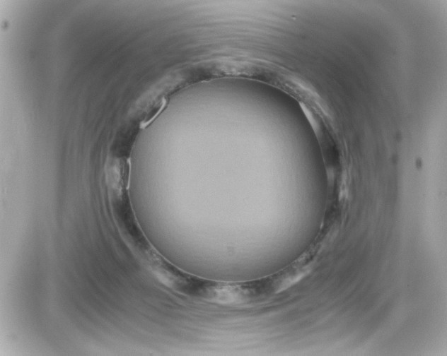 X0000087520121200705112016