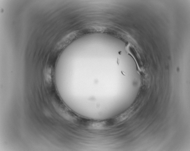 X0000087520122200705112016