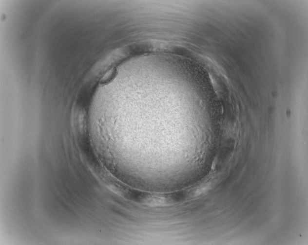 X0000087520123200705112016