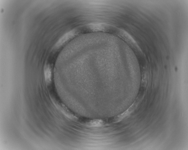 X0000087520124200705112016