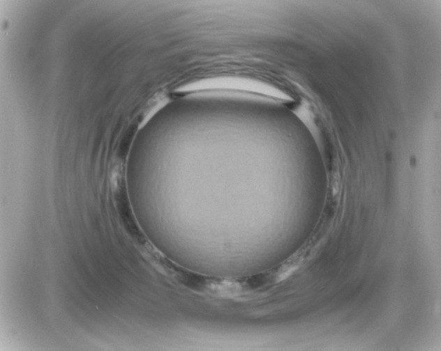 X0000087520125200705112016