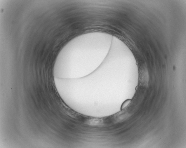 X0000087520126200705112016