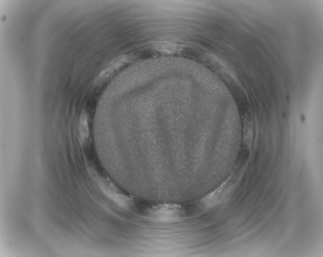 X0000087520128200705112016