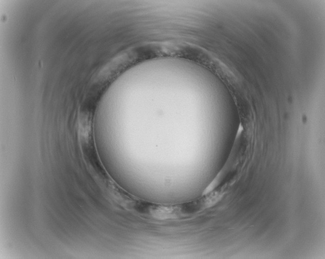 X0000087520129200705112016